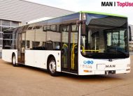 MAN LION’S CITY – A21